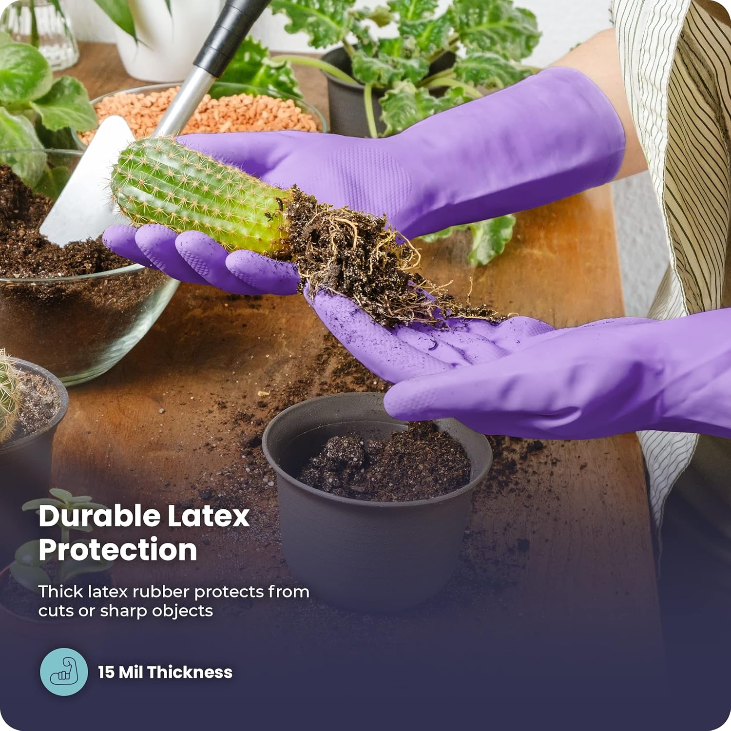 3/6/12/60 Pairs Dishwashing Gl - Rubber Glove Cleaning review and price