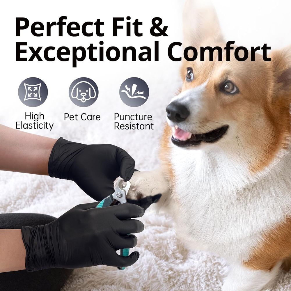 Disposable Nitrile Gloves - La - Latex Disposable Glove review and price