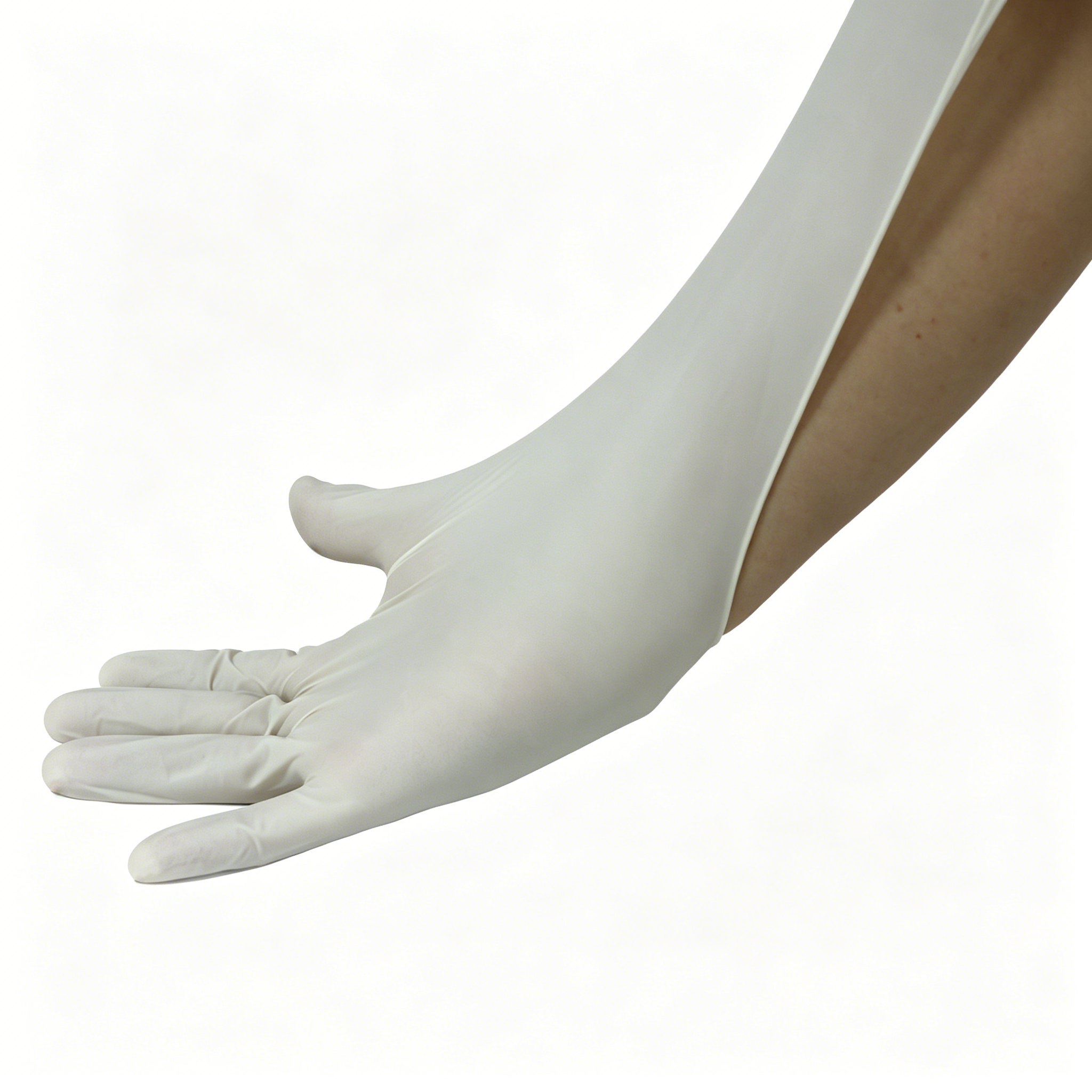 Disposable medical rubber exam - Latex Disposable Glove review and price
